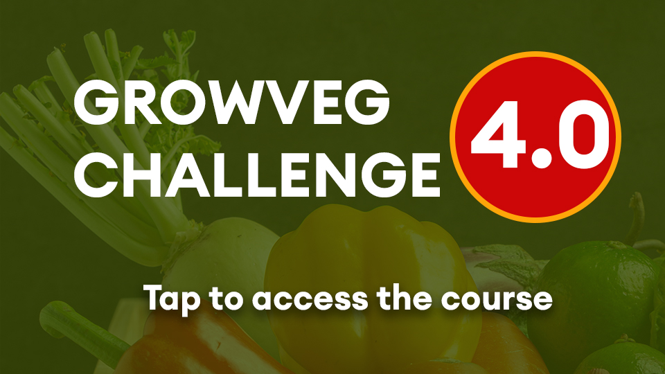 GrowVeg Challenge 4.0